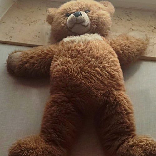 Steiff plüschbär teddybär - steiff,