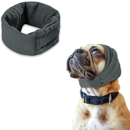 Hund ohrenschutz hundemütze - hund,